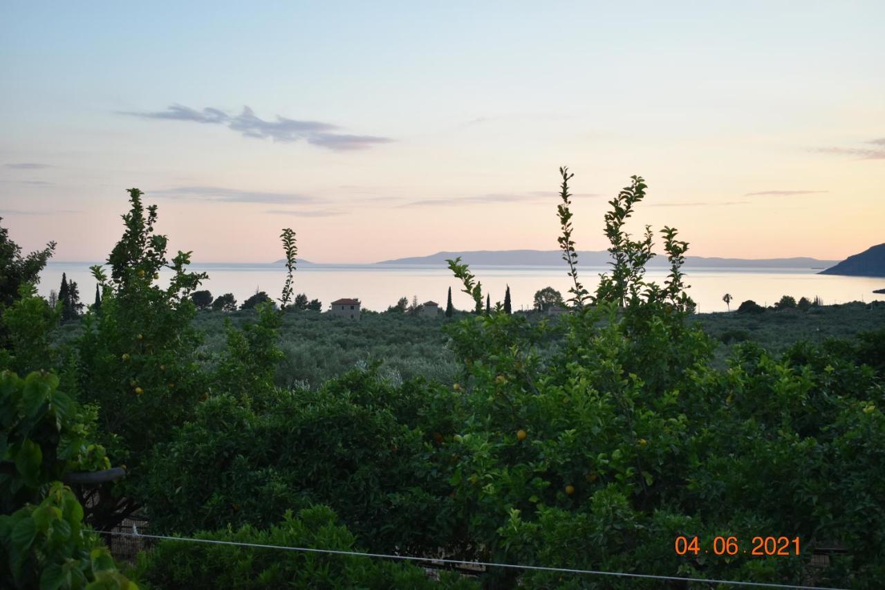 Apartament Ouranias *